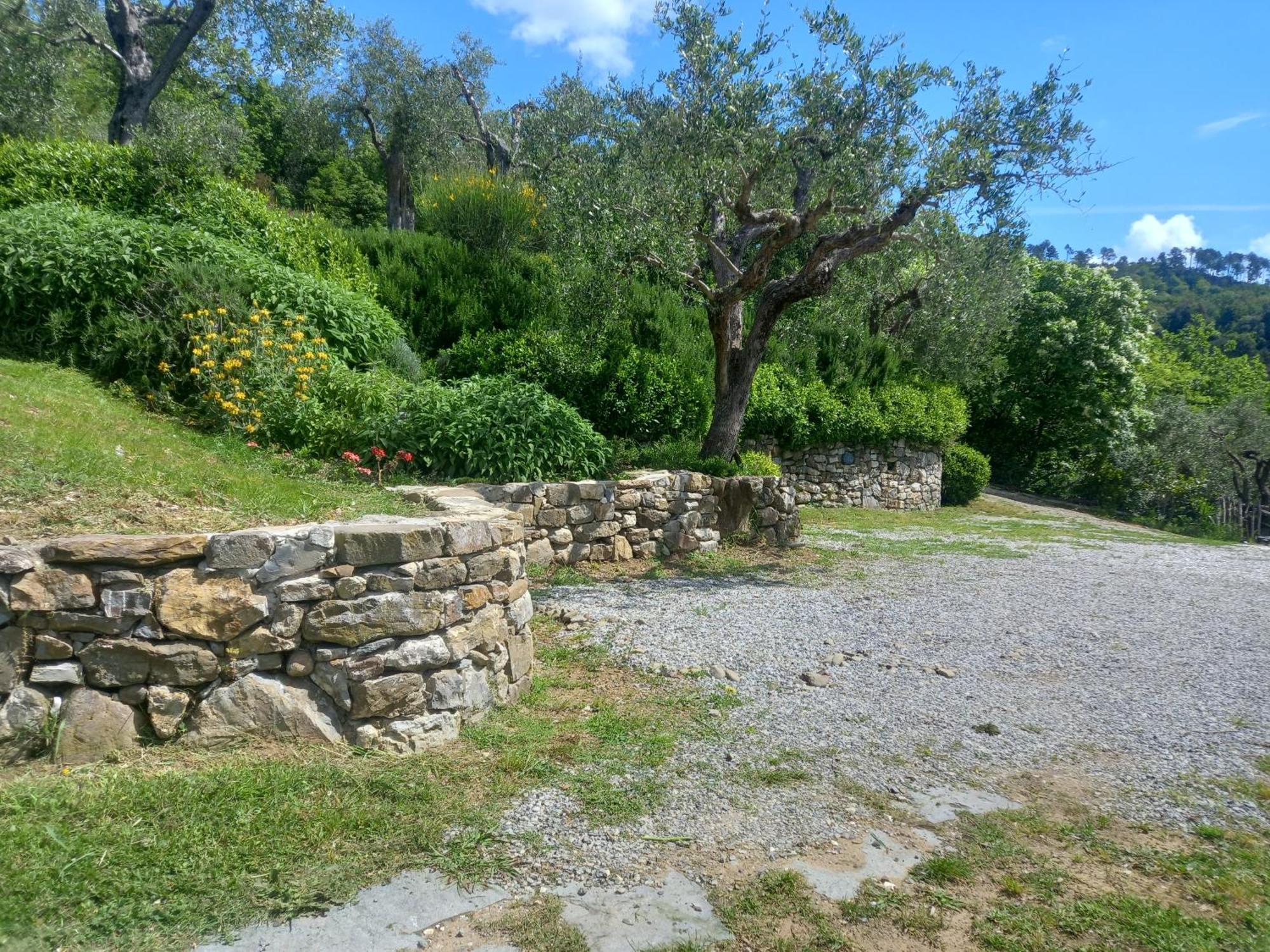 Il Colle Della Brina Ξενοδοχείο Sarzana Εξωτερικό φωτογραφία
