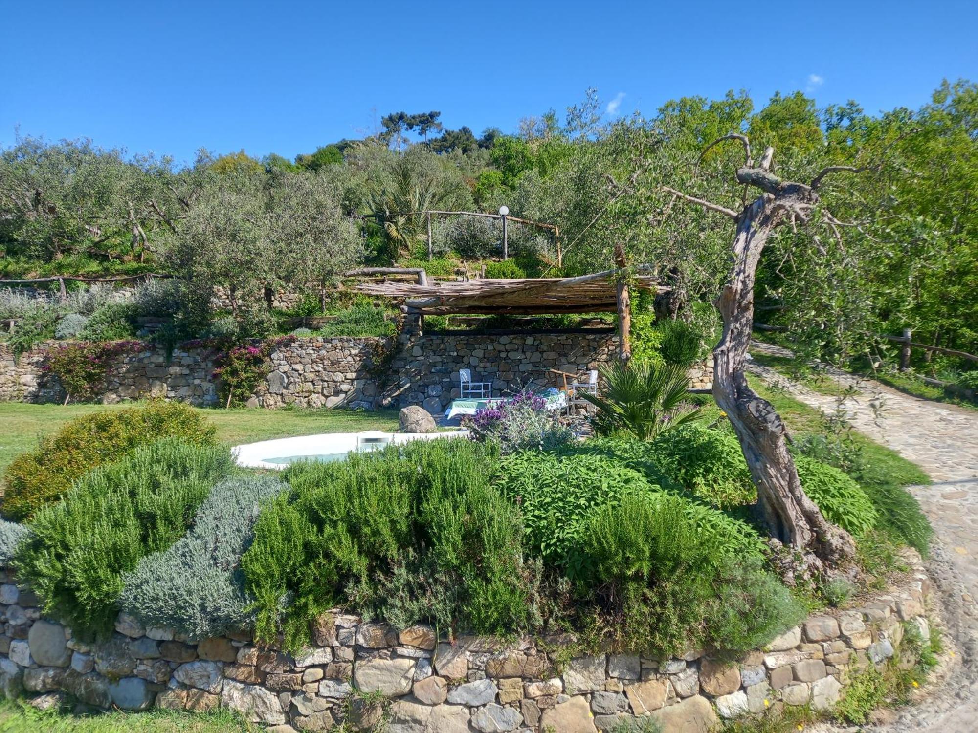 Il Colle Della Brina Ξενοδοχείο Sarzana Εξωτερικό φωτογραφία
