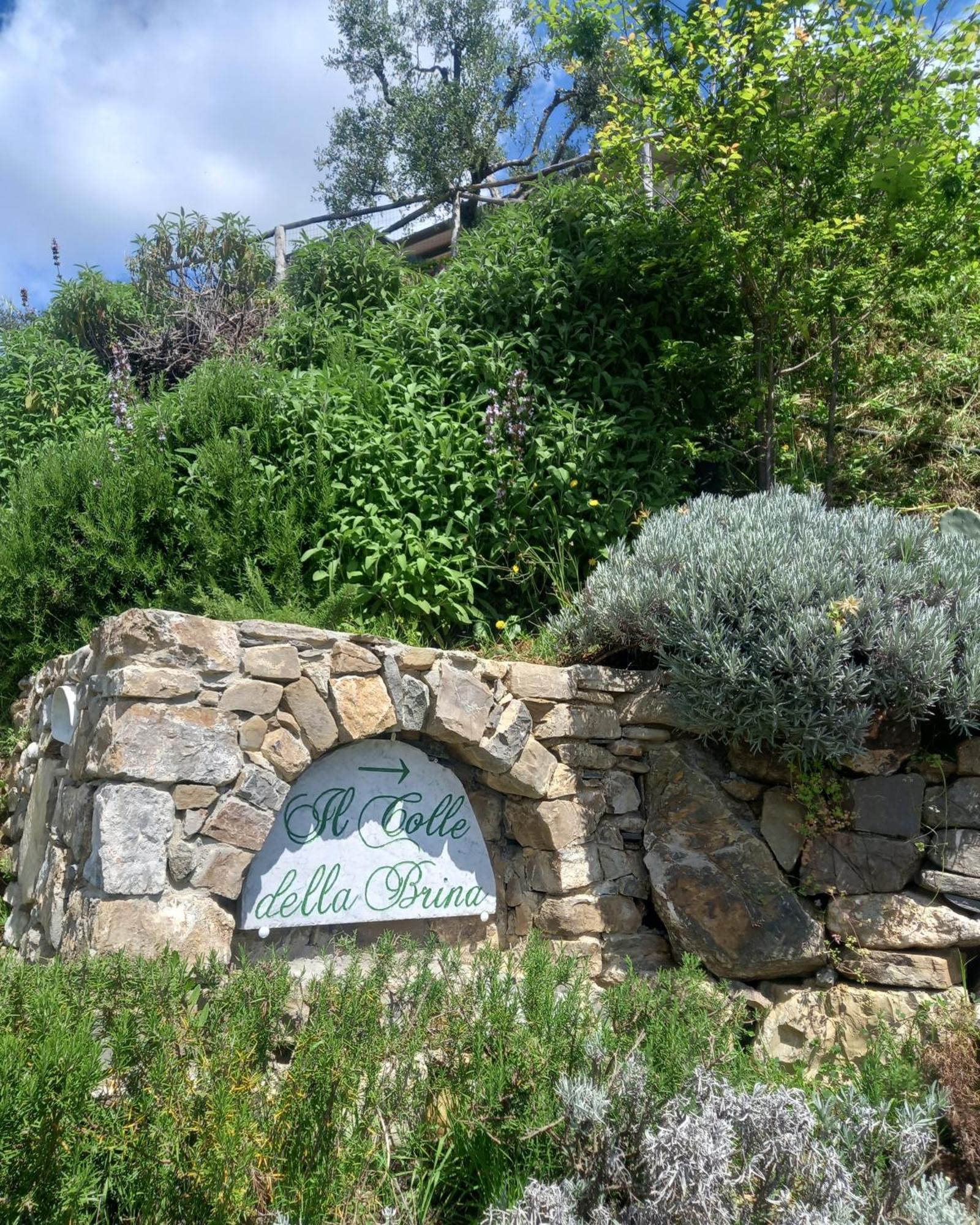 Il Colle Della Brina Ξενοδοχείο Sarzana Εξωτερικό φωτογραφία