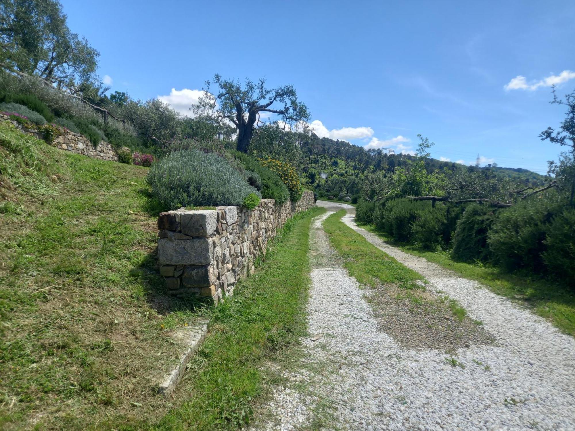 Il Colle Della Brina Ξενοδοχείο Sarzana Εξωτερικό φωτογραφία